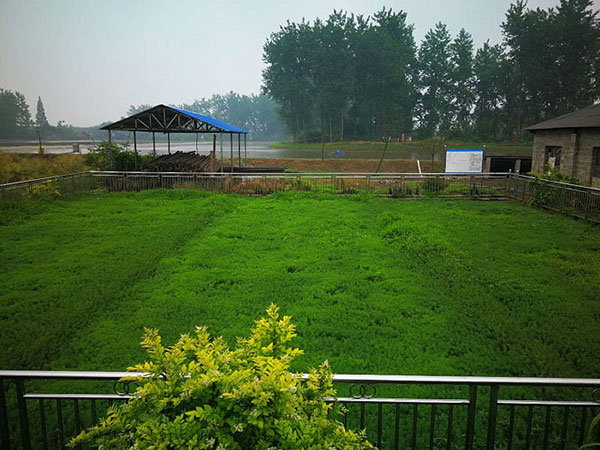 我國(guó)農(nóng)村污水處理存在哪些問題
